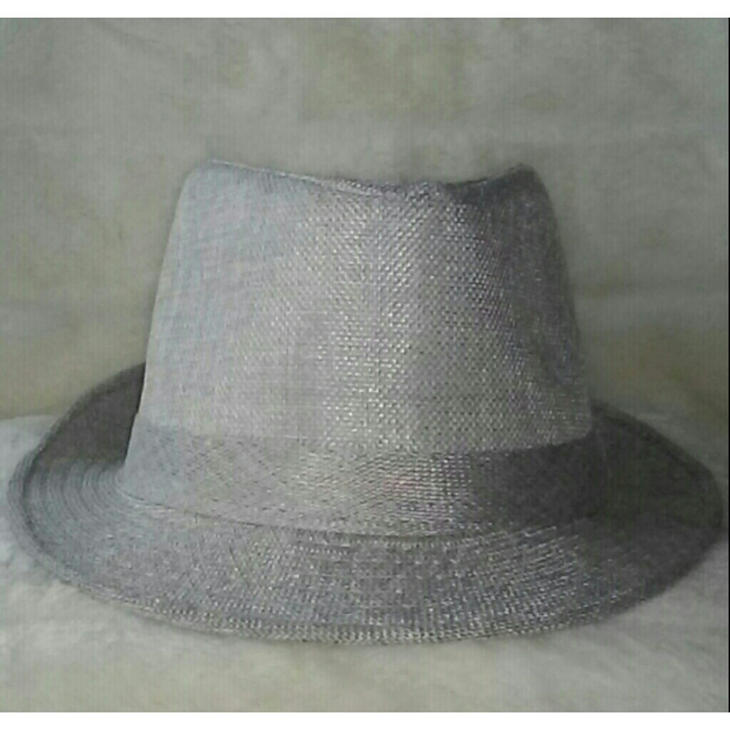 Gray Fedora Hat